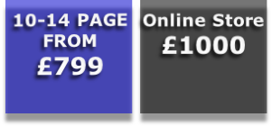 Online Store
£1000